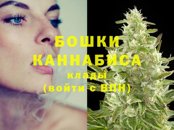 дмт Володарск